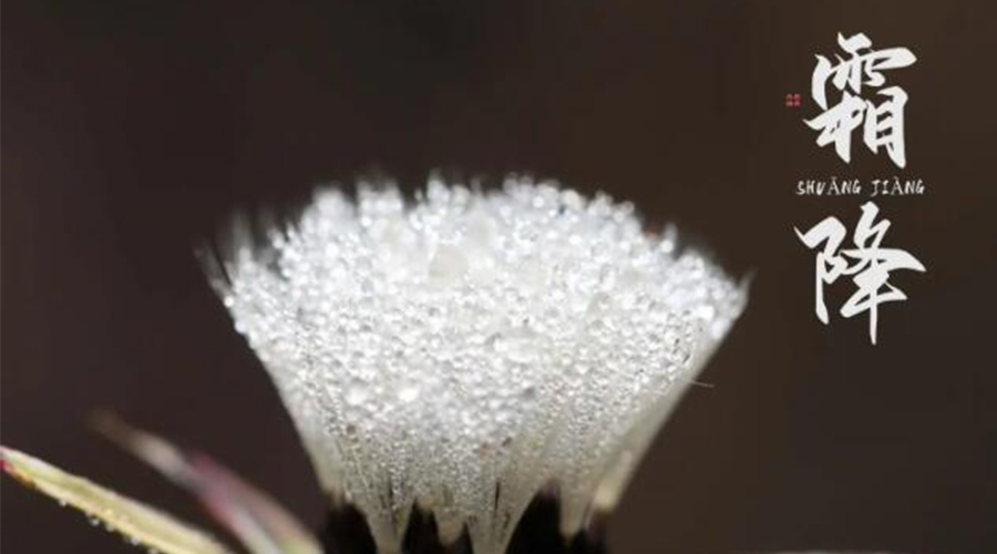 霜降時節(jié)！金環(huán)電器提醒大家要注意的事項