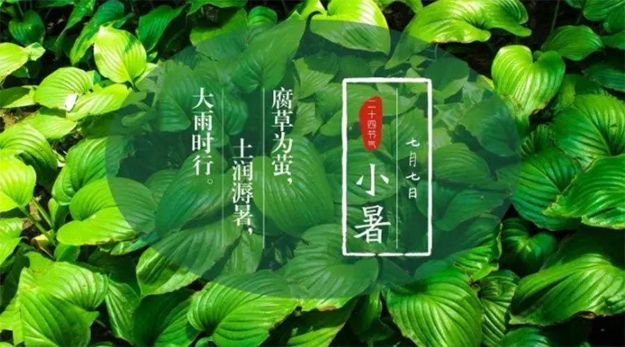 小暑時節(jié)來到！金環(huán)電器提醒大家要注意的事項