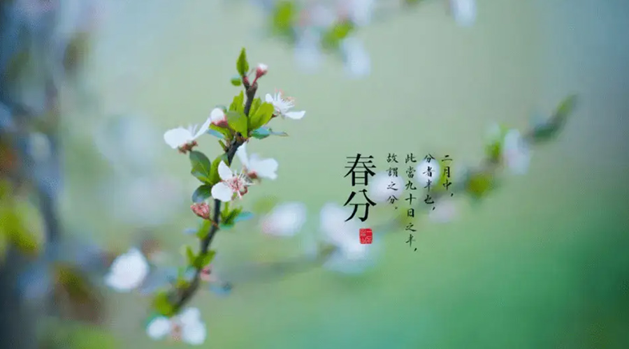 春分雨水多易生菌！金環(huán)電器提醒你衣物要注意處理