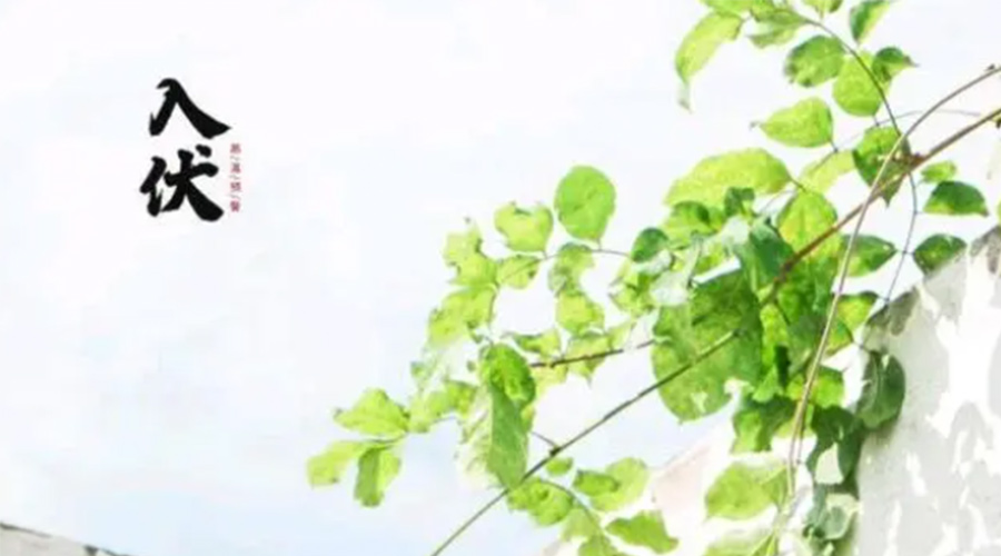 初伏時(shí)節(jié)！金環(huán)電器提醒大家要注意的事項(xiàng)